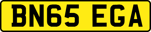 BN65EGA