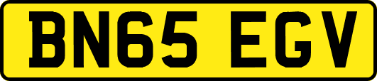 BN65EGV
