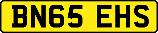 BN65EHS