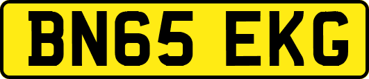 BN65EKG