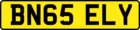 BN65ELY