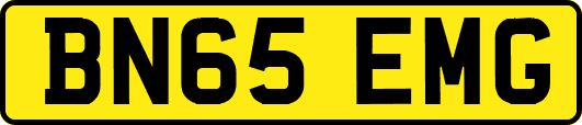 BN65EMG