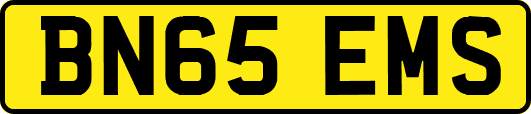 BN65EMS