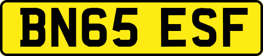 BN65ESF