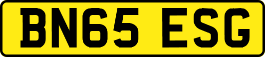 BN65ESG