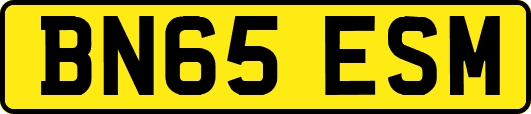 BN65ESM