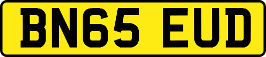 BN65EUD