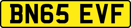 BN65EVF
