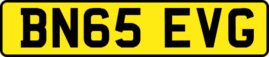 BN65EVG