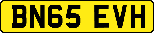 BN65EVH