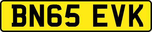 BN65EVK