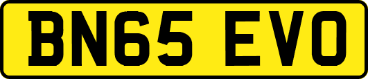 BN65EVO