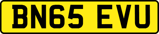 BN65EVU