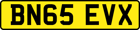 BN65EVX