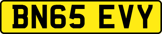 BN65EVY