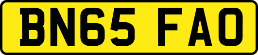 BN65FAO