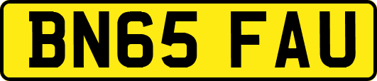 BN65FAU