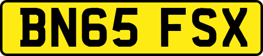 BN65FSX