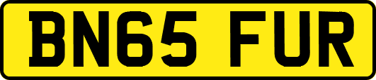 BN65FUR