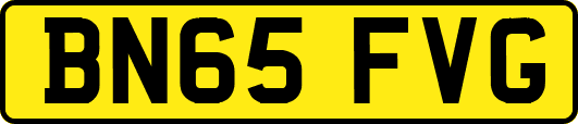 BN65FVG