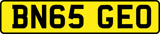 BN65GEO
