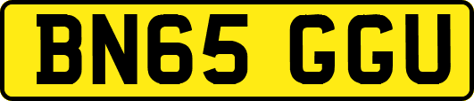 BN65GGU