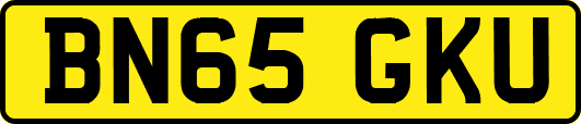 BN65GKU