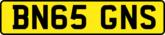BN65GNS