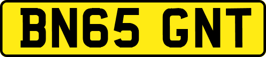 BN65GNT
