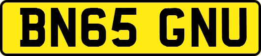 BN65GNU