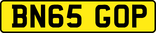 BN65GOP