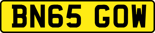 BN65GOW