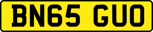 BN65GUO