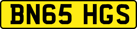 BN65HGS