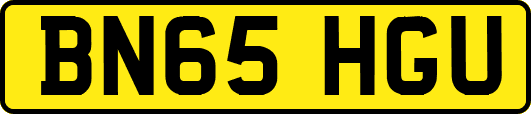 BN65HGU