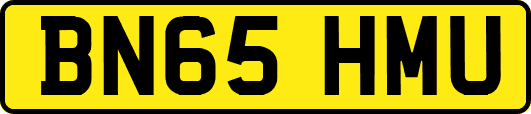 BN65HMU