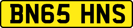 BN65HNS
