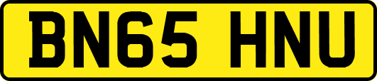 BN65HNU