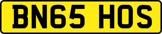 BN65HOS