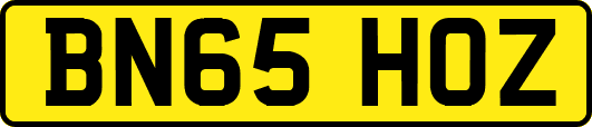 BN65HOZ