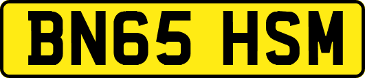 BN65HSM