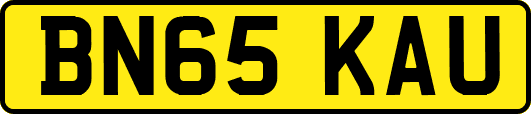 BN65KAU