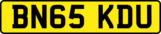 BN65KDU
