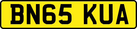 BN65KUA