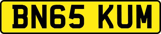 BN65KUM