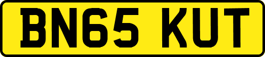 BN65KUT
