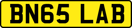 BN65LAB