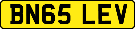 BN65LEV