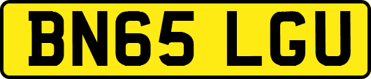 BN65LGU
