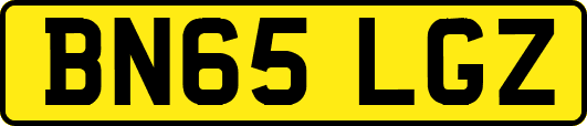 BN65LGZ